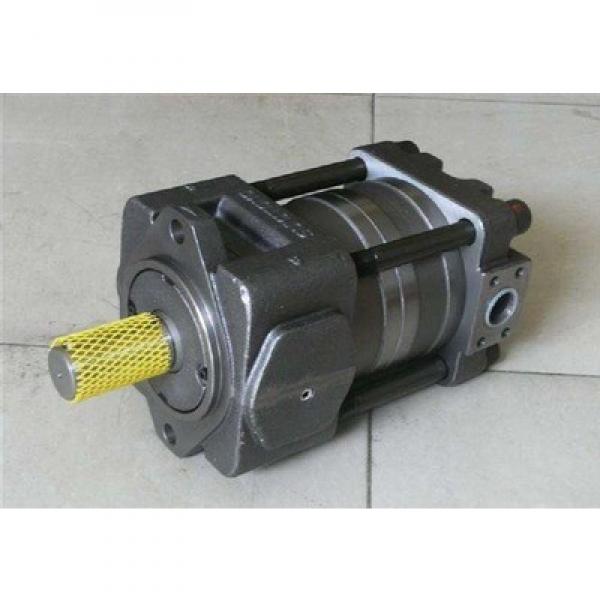 PVM018ER04BS04AAA28000000A0A Vickers Variable piston pumps PVM Series PVM018ER04BS04AAA28000000A0A Original import #3 image