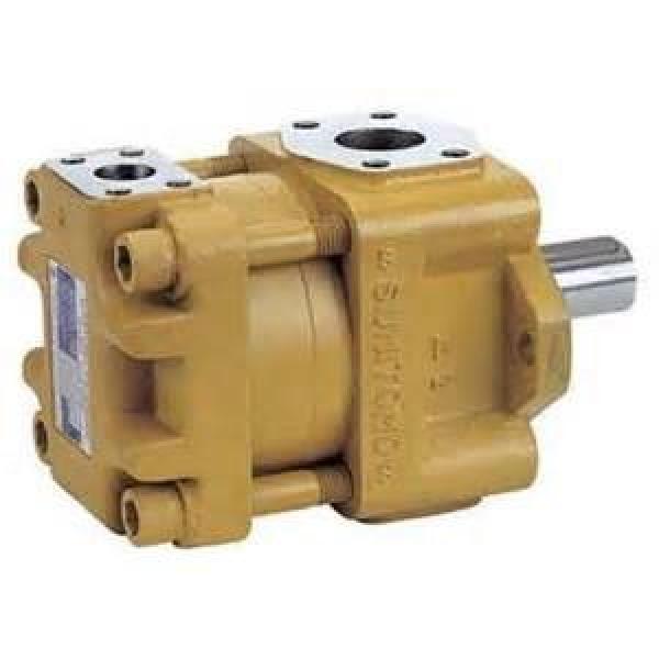 PVM081ER09GS04AAA23000000A0A Vickers Variable piston pumps PVM Series PVM081ER09GS04AAA23000000A0A Original import #3 image